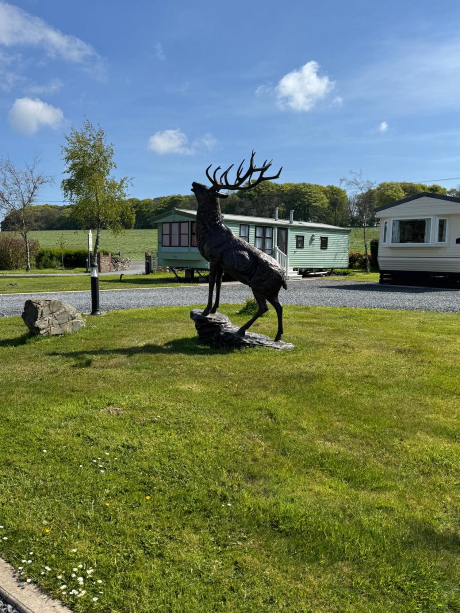 Happydays Caravan 1 Newton Stewart Whithorn Extérieur photo